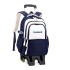 Natural Fish New Backpack for Children 3-6 Grades Primary School Students Pulling Rod with Wheels Climbing Stairs Dual purpose Junior High School Backpack