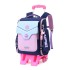 Natural Fish New Boys and Girls Primary School Students' Pull up Backpack for Grades 3-6, Detachable Backpack for Climbing Stairs