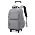 Natural Fish New Pull up Backpack for Primary School Students 3-6 Grades Middle School Students Backpack for High School Students Backpack