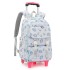 Natural Fish New Style 2nd to 6th Grade Stair Climbing Pull Rod Backpack Junior High School Boys Large Capacity Detachable One Piece Hair Collection