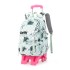 Natural Fish New Style, 2nd to 6th Grades, Climbing Stairs, Pullrod Backpack, Girls' Junior High School, Large Capacity, Detachable, One Piece Hair Collection