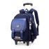 Natural Fish New British Style Pull up Backpack for Primary School Boys and Girls, Durable and Large Capacity, First to Sixth Grade Hair Collection