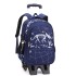 Natural Fish New Pull up Backpack Wholesale for Primary School Students, Boys' Fashion Large Capacity Cross border Hot Selling Dinosaur Starry Sky Map