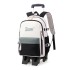 Natural Fish's new pull rod backpack for primary school students in grades 3-6, with large capacity for climbing stairs, is a hot seller across Europe and America