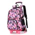 Daifa Natural Fish Pull Rod Backpack Primary School Students 3-5 Grades Girls Six Wheel Staircase Climbing 8-12 Years Old Large Capacity