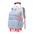 Natural Fish New Primary School Students' Pull up Backpack for Girls 2-5 Grades, Large Capacity Detachable Backpack for Hair Collection