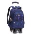 Natural Fish New Pull up Backpack Wholesale for Primary School Students, Boys' Fashion Large Capacity Cross border Hot Selling Dinosaur Starry Sky Map