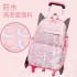 Natural Fish New Primary School Students' Pull up Backpack for Girls 2-5 Grades, Large Capacity Detachable Backpack for Hair Collection