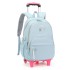 Natural Fish New Primary School Students' Pull up Backpack Girls' 2-6 Grades Large Capacity Detachable Backpack Hair Replacement