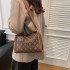 Advanced handbag for women 2024 new light luxury commuting bag, retro printed shoulder bag, diagonal cross small square bag, pillow bag