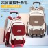 2024 New Children's Trolley School Bag for Primary School Students with Large Capacity and Junior High School Students