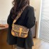 High end ladies' bag, women's 2024 autumn new item, European and American retro armpit bag, versatile temperament, single shoulder diagonal cross bag