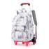 Natural Fish New Style, 2nd to 6th Grades, Climbing Stairs, Pullrod Backpack, Girls' Junior High School, Large Capacity, Detachable, One Piece Hair Collection