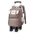 Natural Fish Elementary School Backpack Pull up Bag for Grades 1-3-6 School Backpack Dual use Six Wheel Stair Climbing Wholesale