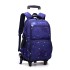 Natural Fish High School Student Three piece Set Pull up Backpack Wholesale Climbing Stairs Large Capacity Fashionable Multi layer Breathable Backpack