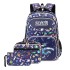 Natural Fish Elementary School Children's Third to Sixth Grades Backpack Wear resistant Ultra light Double Shoulder Bag Wholesale