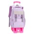 New product of Natural Fish: Pull up bag for elementary school students aged 8-12, detachable large capacity backpack for girls, cross-border dropshipping