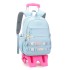 Natural Fish New Primary School Students' Pull up Backpack, Middle and High School Girls' Load Reduction, Ladder Climbing, Large Capacity Leisure Backpack