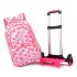 Daifa Natural Fish Pull Rod Backpack Primary School Students 3-5 Grades Girls Six Wheel Staircase Climbing 8-12 Years Old Large Capacity