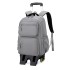 Natural Fish New Pull up Backpack for Primary School Students 3-6 Grades Middle School Students Backpack for High School Students Backpack