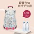 Natural Fish New Style 2nd to 6th Grade Stair Climbing Pull Rod Backpack Junior High School Boys Large Capacity Detachable One Piece Hair Collection