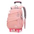 Natural Fish One Piece dropshipping for middle school students, six wheeled climbing ladder, pull rod backpack for primary school students, large capacity backpack for cross-border special