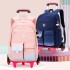 2022 Natural Fish New Pull up Backpack for Primary School Students in Grades 3-6 with Large Capacity and Reduced Burden, One Piece Waiver Backpack