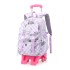 Natural Fish New Style, 2nd to 6th Grades, Climbing Stairs, Pullrod Backpack, Girls' Junior High School, Large Capacity, Detachable, One Piece Hair Collection