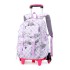 Natural Fish New Style, 2nd to 6th Grades, Climbing Stairs, Pullrod Backpack, Girls' Junior High School, Large Capacity, Detachable, One Piece Hair Collection