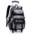 Natural Fish New Pull up Backpack Wholesale for High School and Primary School Students, Grades 2-6, Large Capacity Cross border Dual use Backpack