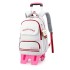 Natural fish pull rod backpack hot selling in Europe and America, large capacity dual-use backpack for elementary school students, six wheel stair climbing backpack with printed lettering