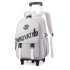 Natural Fish New Student Backpack Wholesale Men's and Women's Large Capacity Pull up Backpack for Junior and Senior High School Cross border