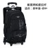 Natural fish, children's suitcase, backpack, male and female elementary school students, middle school students, grades 3-6, detachable backpack