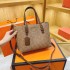 Summer Fashion Retro Printed Bag for Women 2024 New Classic Tote Bag, Hundred Handheld Shoulder Bag, Diagonal Cross Bag