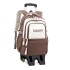 Natural Fish New Backpack for Children 3-6 Grades Primary School Students Pulling Rod with Wheels Climbing Stairs Dual purpose Junior High School Backpack