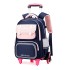 Natural Fish Elementary School Backpack Pull up Bag for Grades 1-3-6 School Backpack Dual use Six Wheel Stair Climbing Wholesale