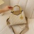 Cross border 2024 summer women's handbag new versatile platinum fashion bag women's bag trendy brand wide shoulder diagonal cross bag