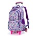 Daifa Natural Fish Pull Rod Backpack Primary School Students 3-5 Grades Girls Six Wheel Staircase Climbing 8-12 Years Old Large Capacity