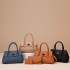 Cross border foreign trade mother bag 2024 new women's bag, women's handbag, women's fashion shoulder crossbody bag wholesale