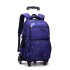 Natural Fish High School Student Three piece Set Pull up Backpack Wholesale Climbing Stairs Large Capacity Fashionable Multi layer Breathable Backpack