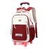 Natural Fish New Pull up Backpack for Children 3-6 Grades Primary School Students Large Capacity Junior High School Students Dual Use Backpack