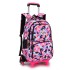 Daifa Natural Fish Pull Rod Backpack Primary School Students 3-5 Grades Girls Six Wheel Staircase Climbing 8-12 Years Old Large Capacity