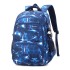 Cross border natural fish new fashionable backpack for primary and secondary school students, boys and girls in grades 4-6, backpack printing