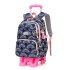 Natural Fish New Primary School Students' Pull up Backpack for Girls 2-5 Grades, Large Capacity Detachable Backpack for Hair Collection