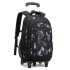 Natural Fish New Style, 3rd to 9th Grades, Climbing Stairs, Pullrod Backpack, Junior High School Boys, Large Capacity, Detachable, One Piece Hair Collection