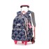 Natural Fish New Primary School Students' Pull up Backpack for Girls 2-5 Grades, Large Capacity Detachable Backpack for Hair Collection