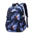 Cross border natural fish new fashionable backpack for primary and secondary school students, boys and girls in grades 4-6, backpack printing