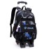 Natural Fish New Pull up Backpack Wholesale for High School and Primary School Students, Grades 2-6, Large Capacity Cross border Dual use Backpack