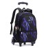 Natural Fish New Pull up Backpack Wholesale for Primary School Students, Boys' Fashion Large Capacity Cross border Hot Selling Dinosaur Starry Sky Map