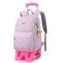 Natural Fish New Style 2nd to 6th Grade Stair Climbing Pull Rod Backpack Junior High School Boys Large Capacity Detachable One Piece Hair Collection